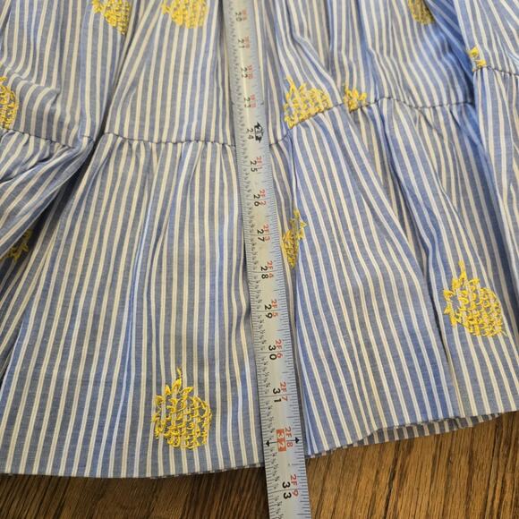J Crew Striped Midi Skirt Blue Womens Size XS Pineapple Embroidered Lined - Picture 3 of 8